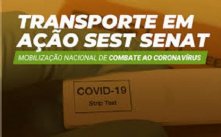 Sest Senat Realiza Testes Rpidos De Cov